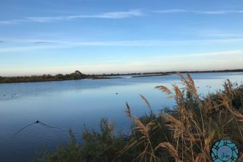 Le bassin d'Arcachon